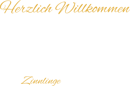 Herzlich Willkommen Die Liebe zum Detail und die extrem filigrane und extrafeine Bemalung, machen unsere Zinnlinge einzigartig.